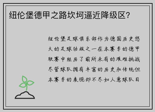 纽伦堡德甲之路坎坷逼近降级区？